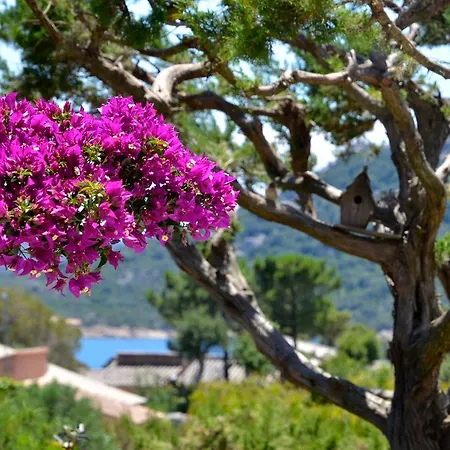 Luxe Domaine De Cala D'oro * Porto-Vecchio (Corsica)
